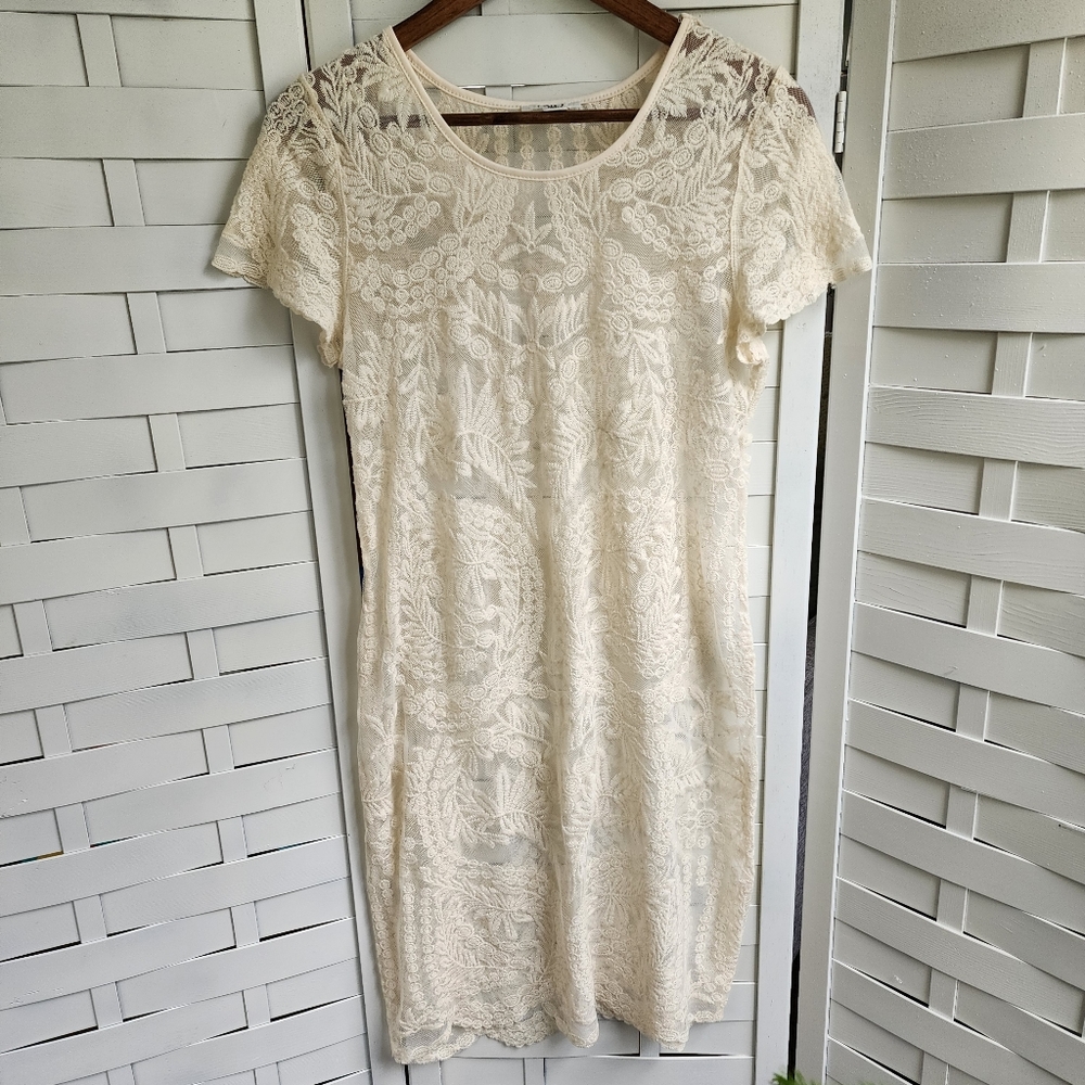 Cato Ivory Lace Sheer Dress